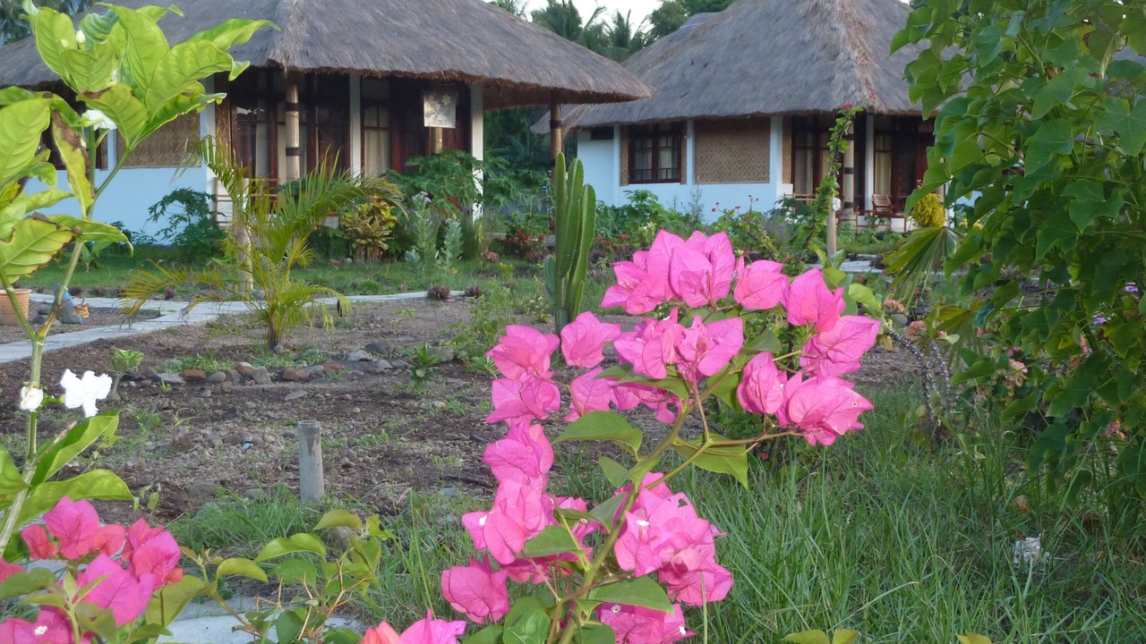 Photo of Outdoor in Maumere