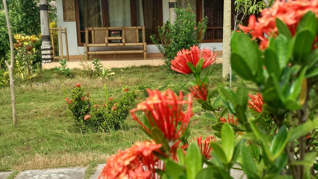 Photo of Outdoor in Maumere