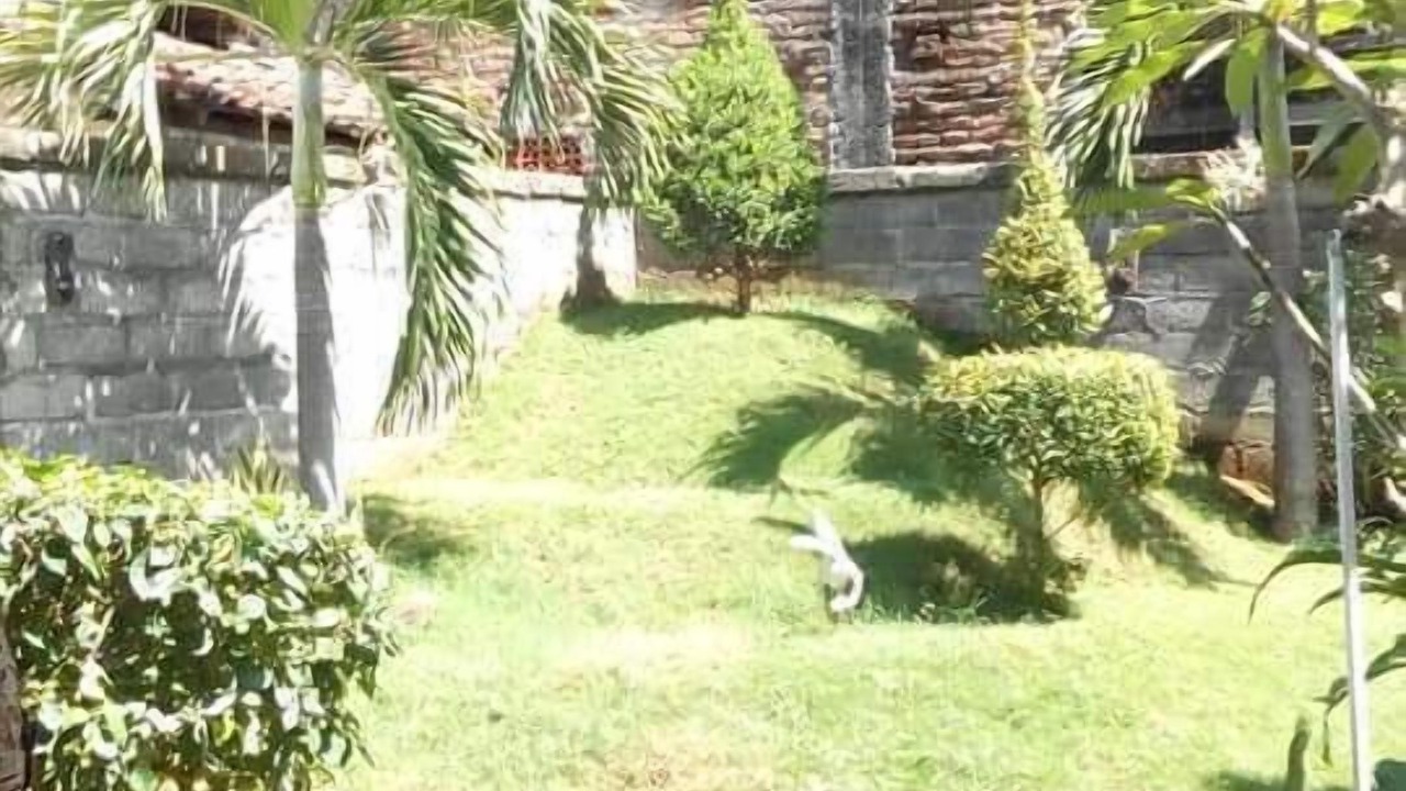 Photo of Outdoor in Kalipuro