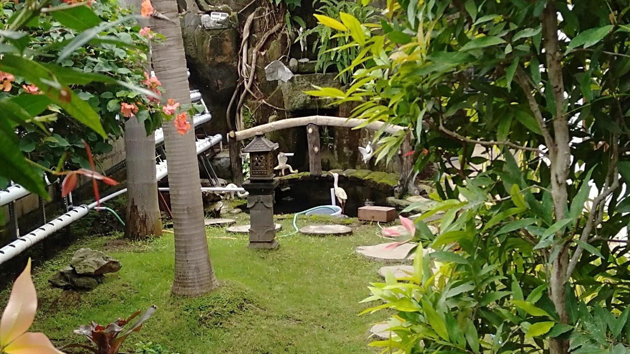 Photo of Outdoor in Kalipuro