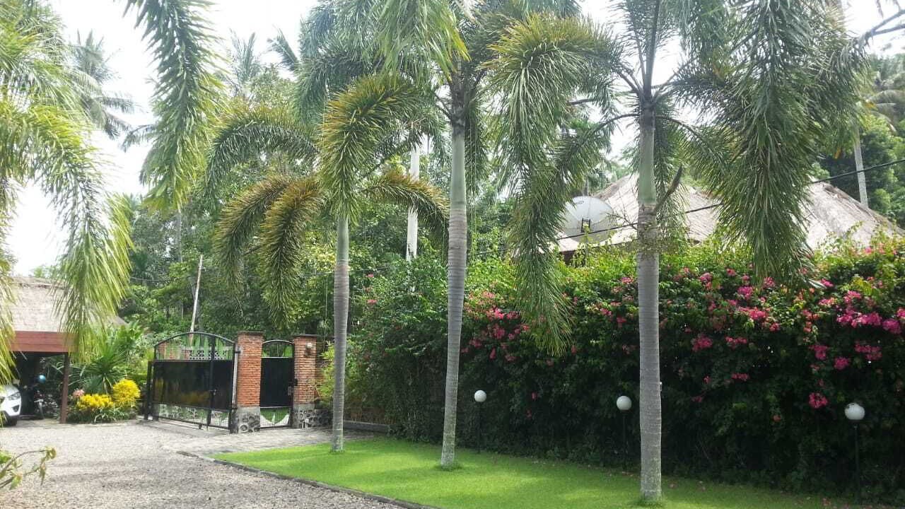 Photo of Outdoor in Senggigi