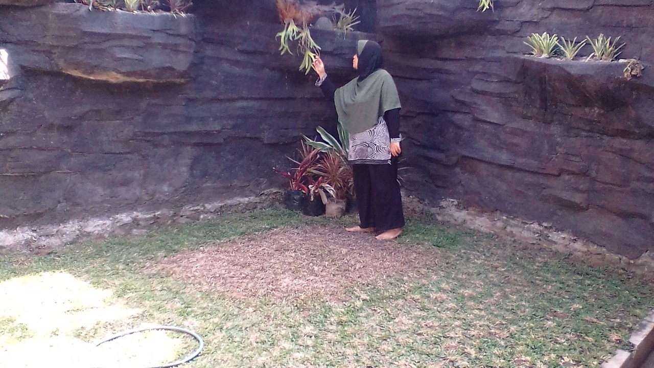 Photo of Outdoor in Lembang