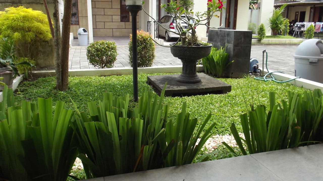 Photo of Outdoor in Baturetno