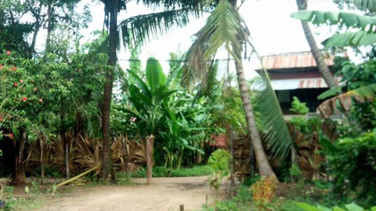 Photo of Outdoor in Siem Reap