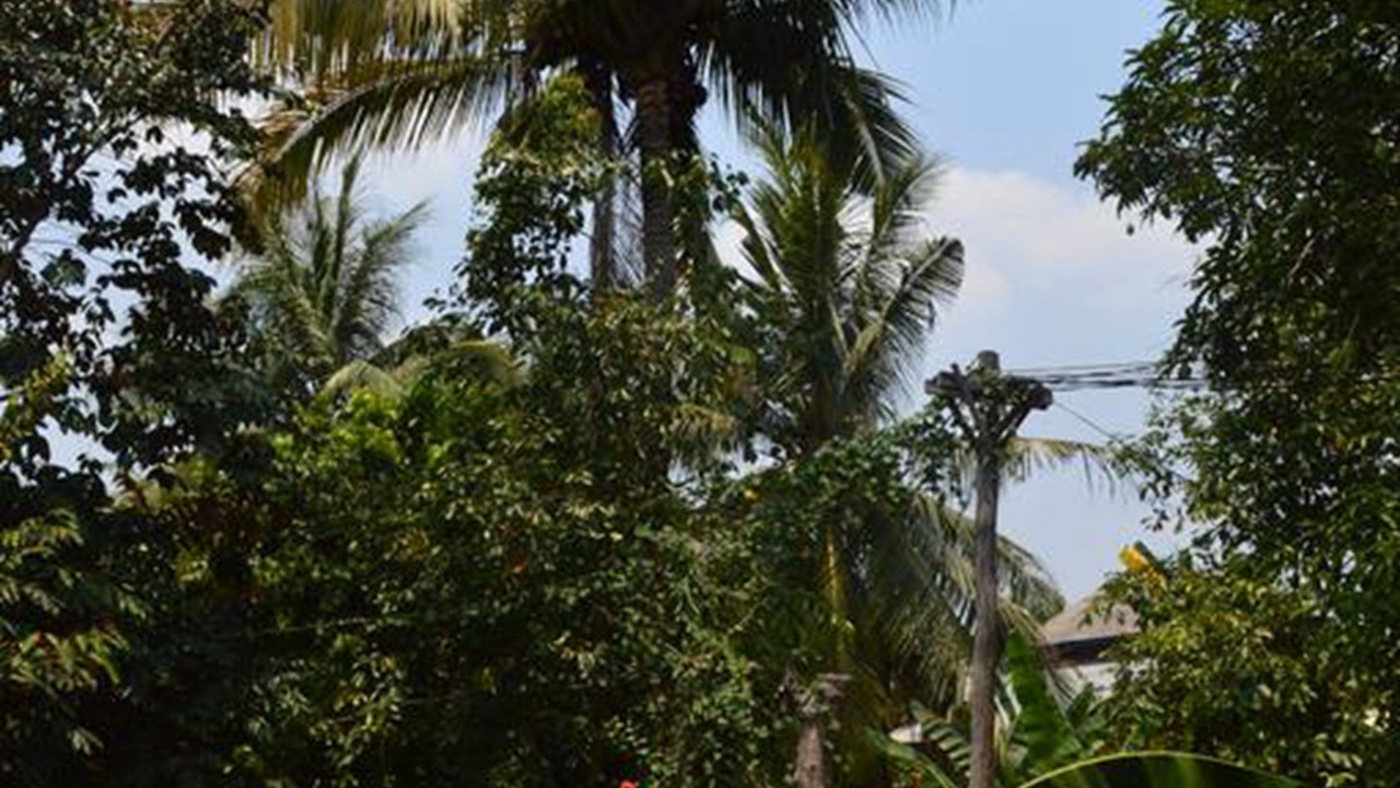 Photo of Bedroom in Siem Reap