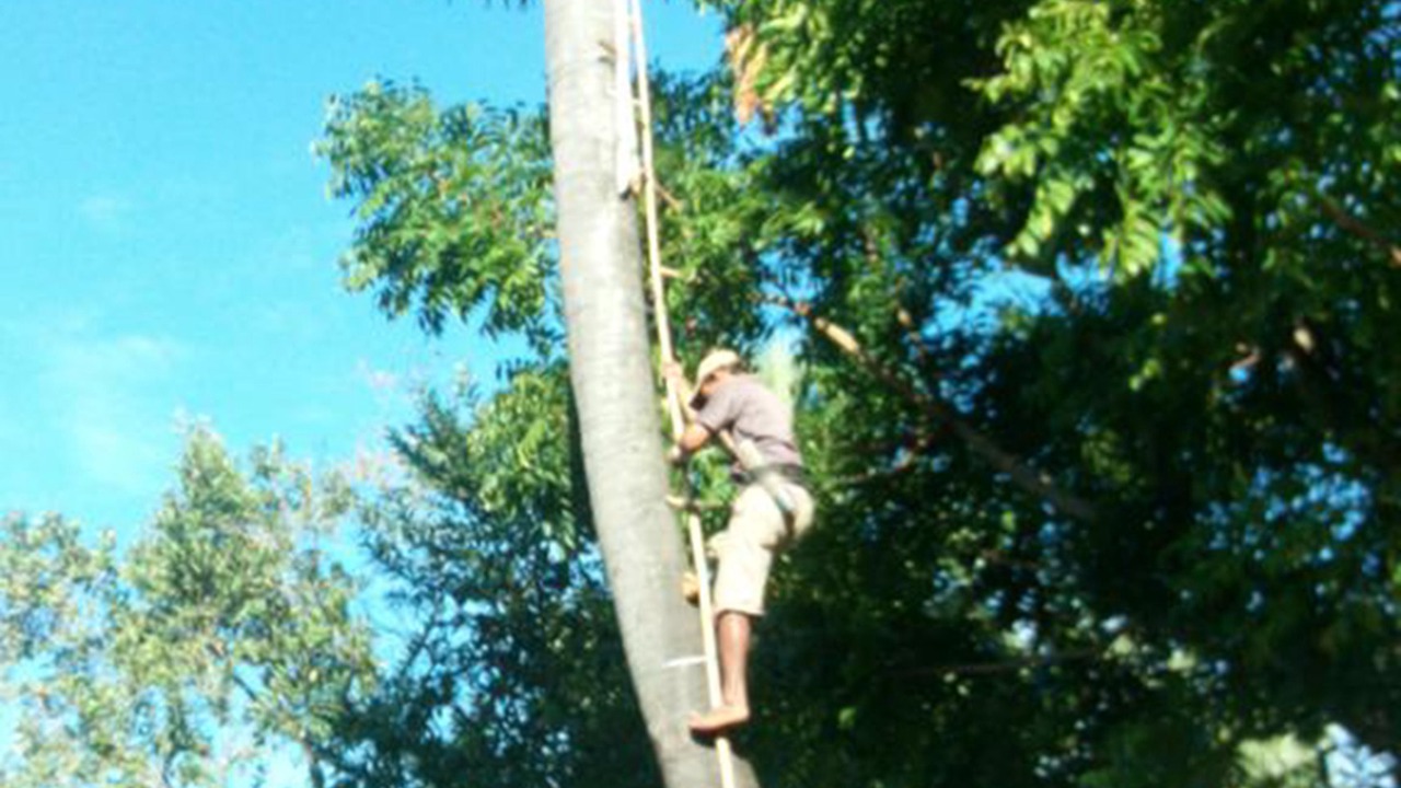 Photo of Outdoor in Siem Reap