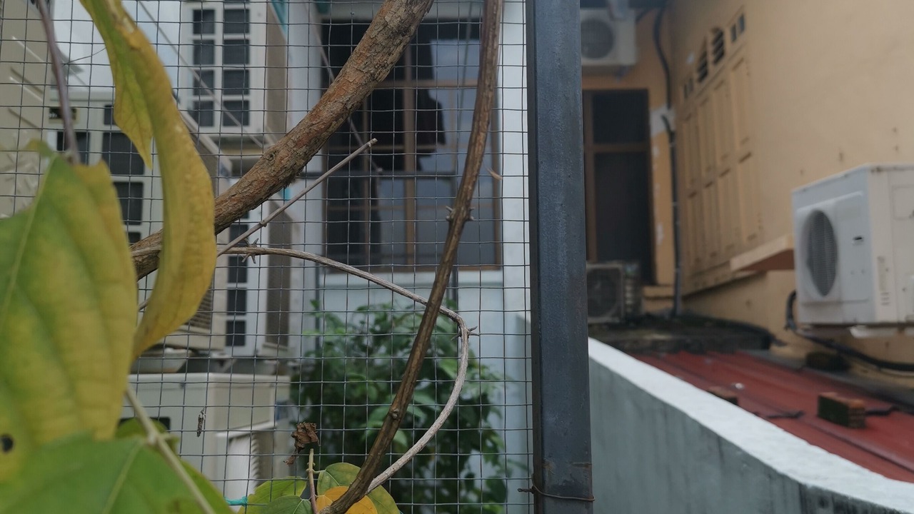 Photo of Patio Balcony in Larut