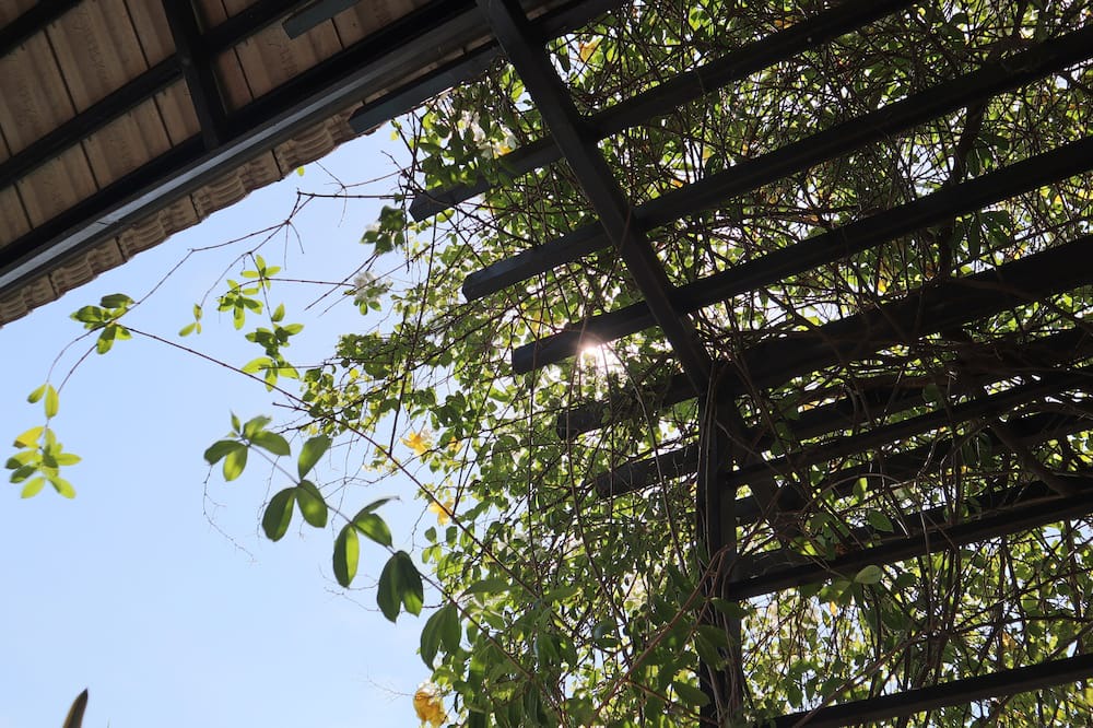 Photo of Outdoor in Hoa Thanh