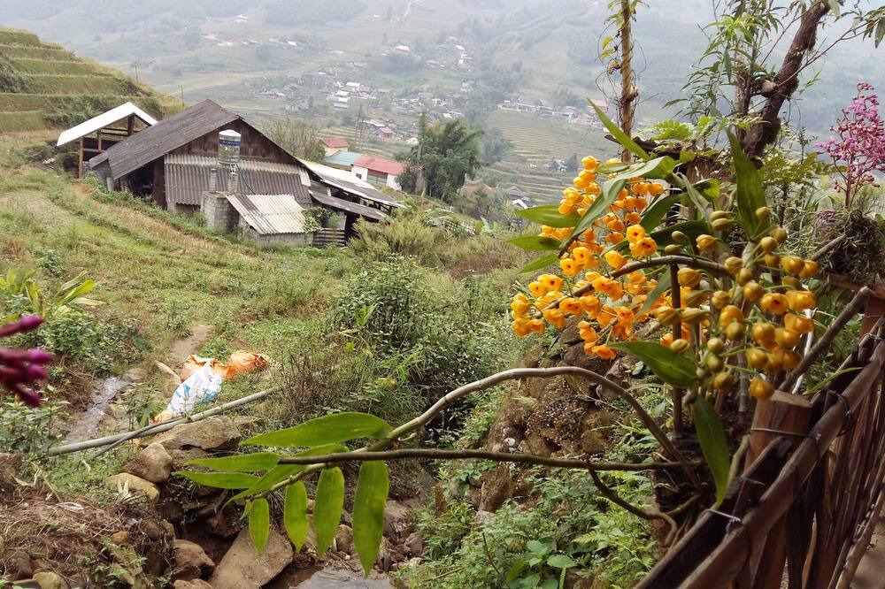 Photo of Outdoor in Sa Pa