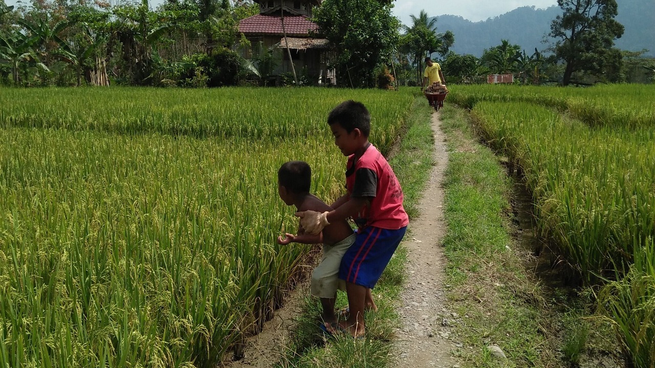 Photo of Outdoor in Bohorok