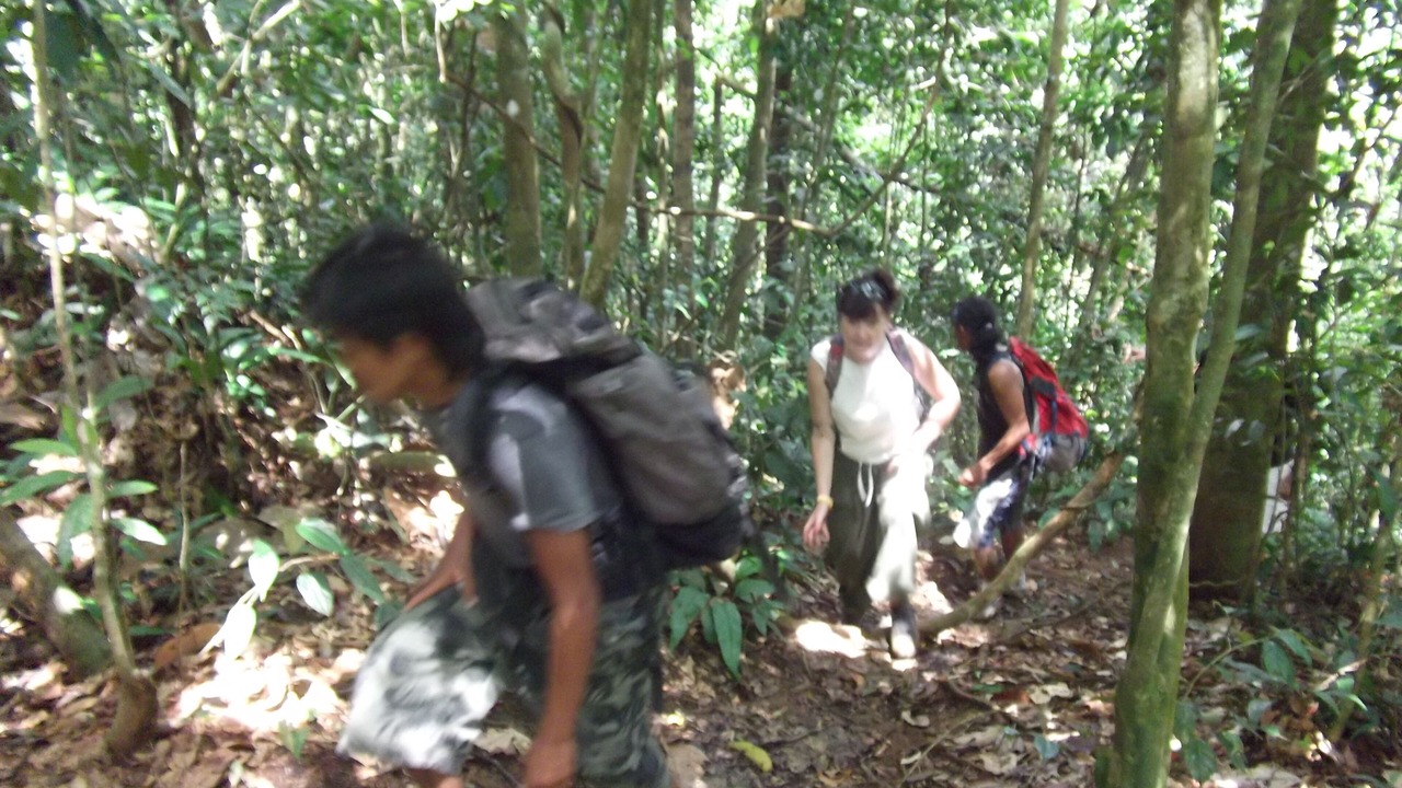 Photo of Outdoor in Bohorok