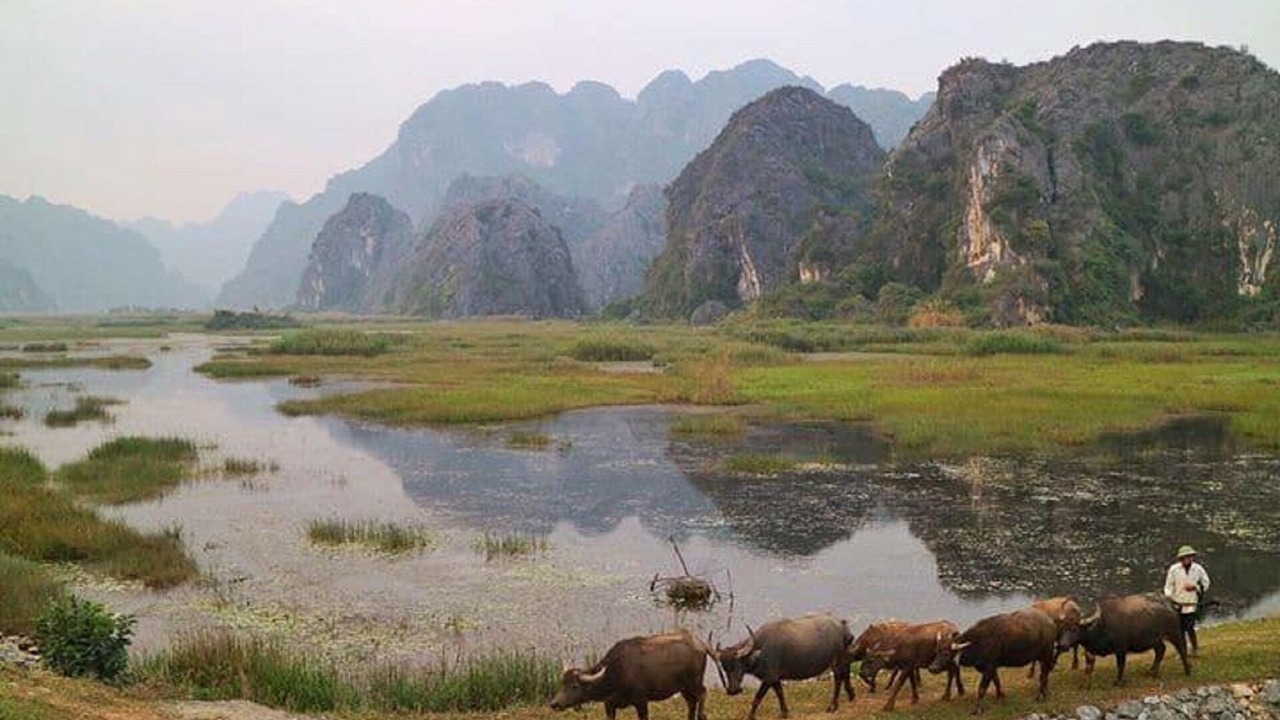 Photo of Others in Gia Vien