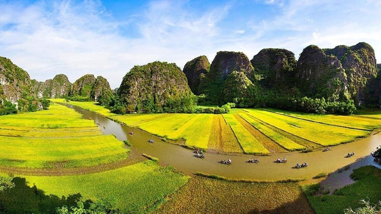 Photo of Others in Gia Vien