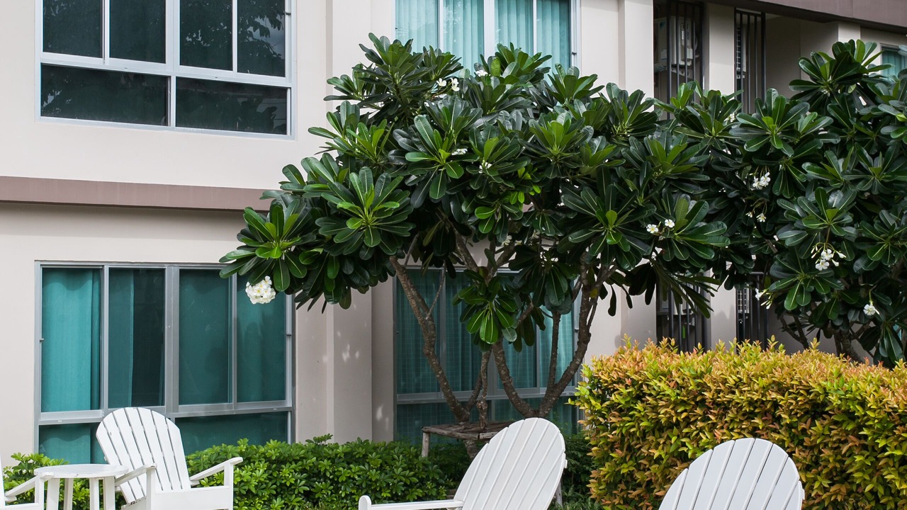 Photo of Outdoor in Khao Takiab