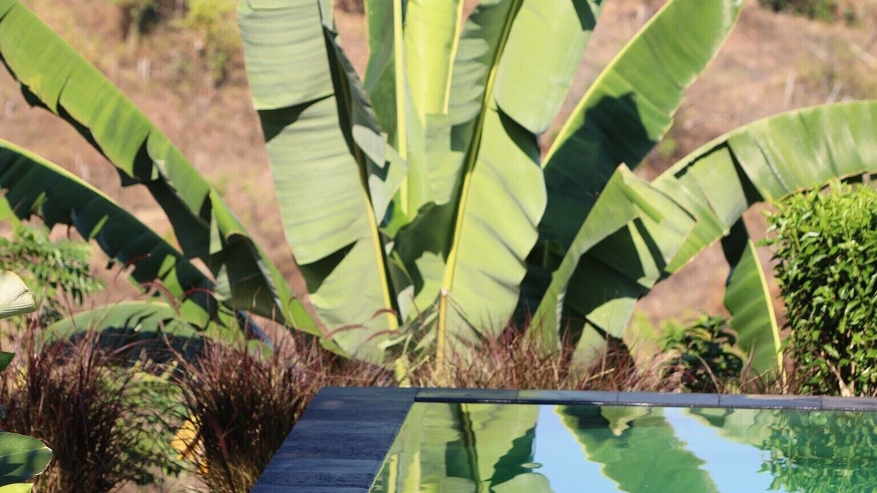 Photo of Outdoor in Kayu Putih