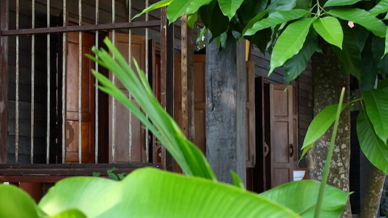 Photo of Outdoor in Nong Pa Khrang