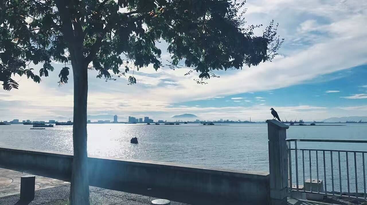 Photo of Others in George Town