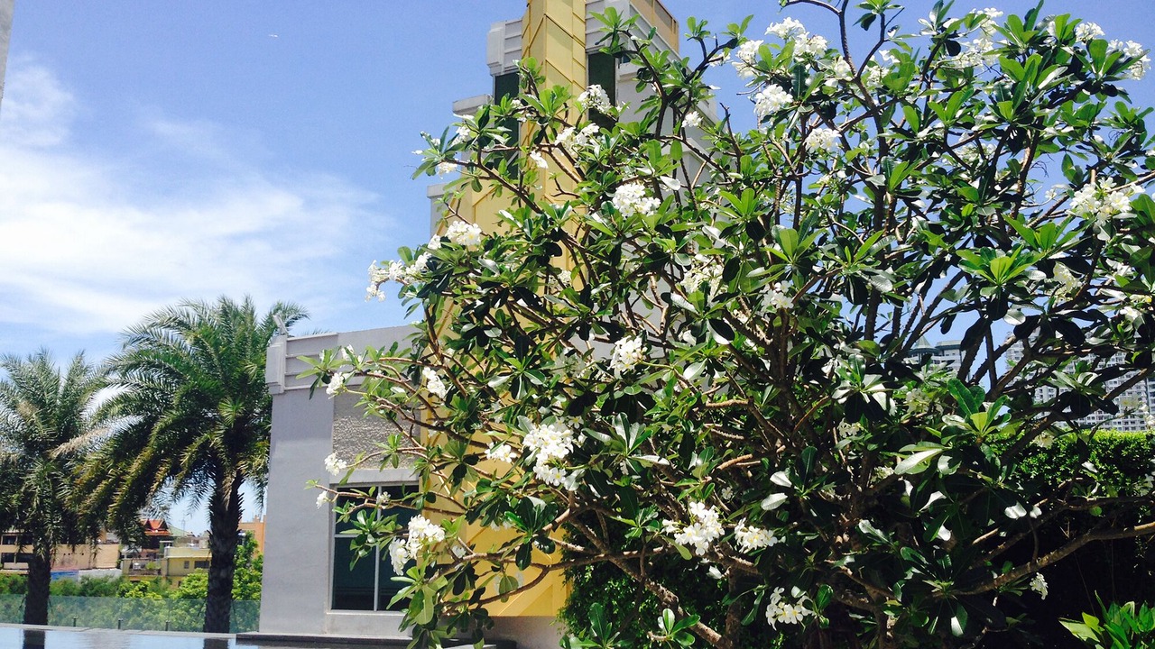 Photo of Outdoor in Bang Lamphu Lang