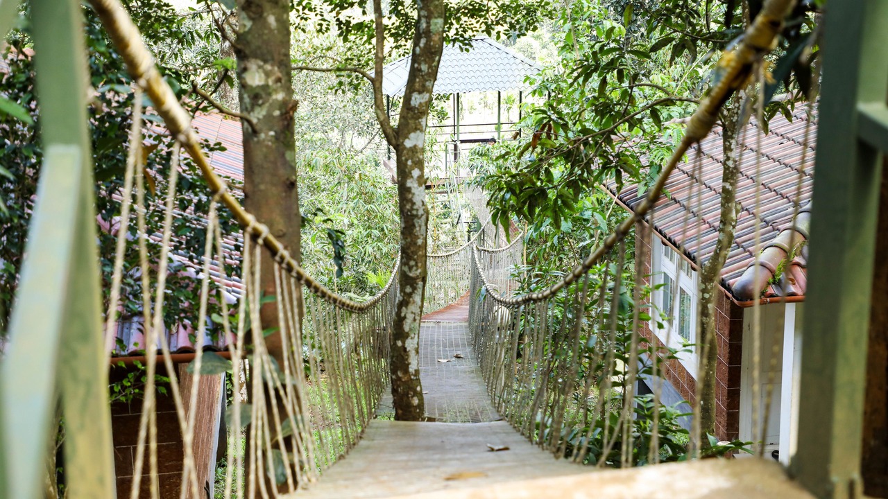 Photo of Outdoor in Vayittiri