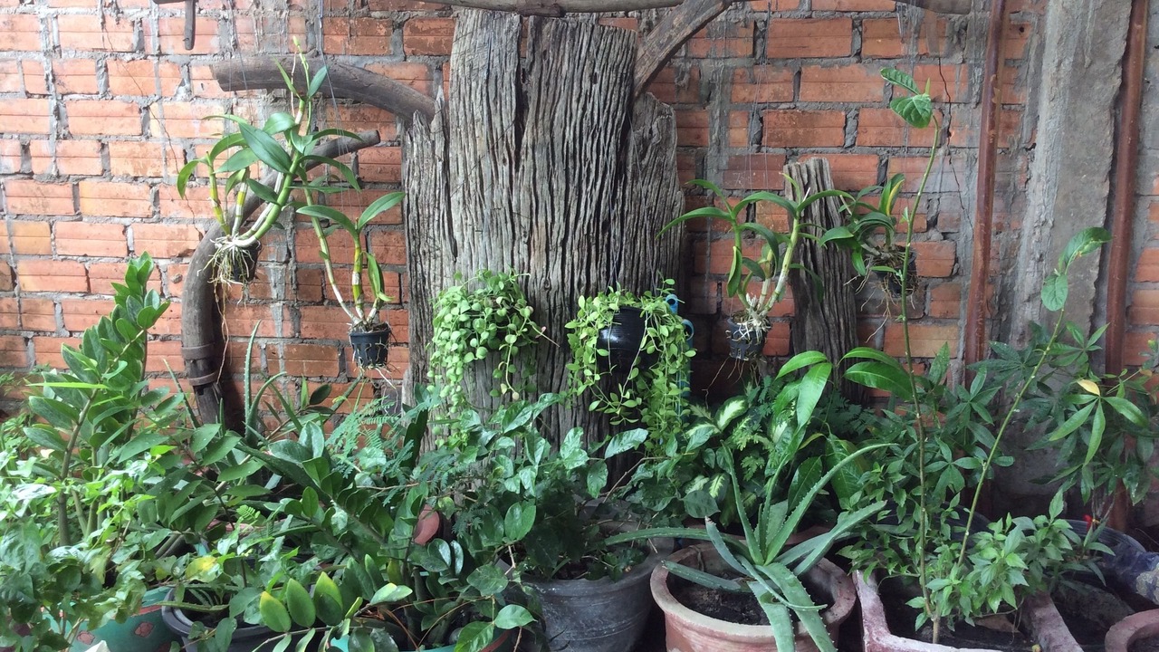 Photo of Outdoor in Sangkat Sla Kram