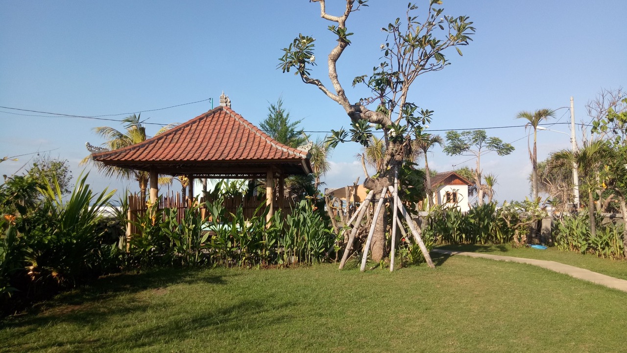 Photo of Others in Medewi