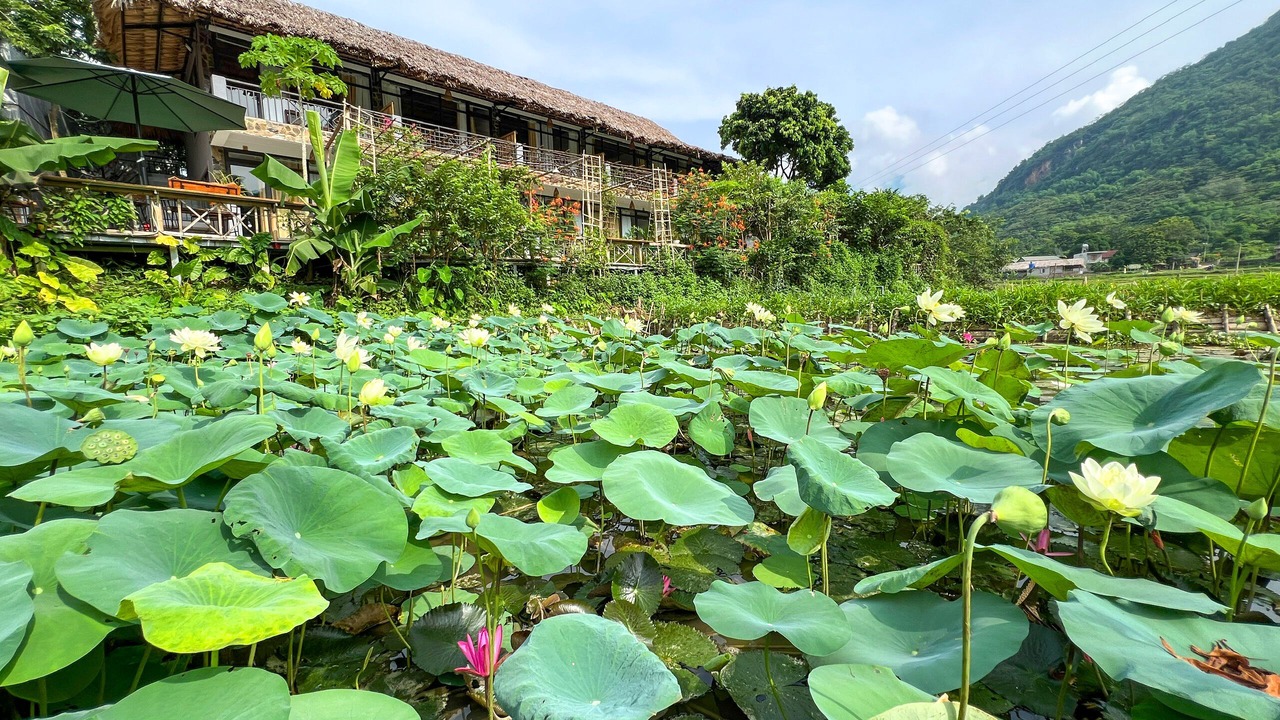 Photo of Outdoor in Mai Chau