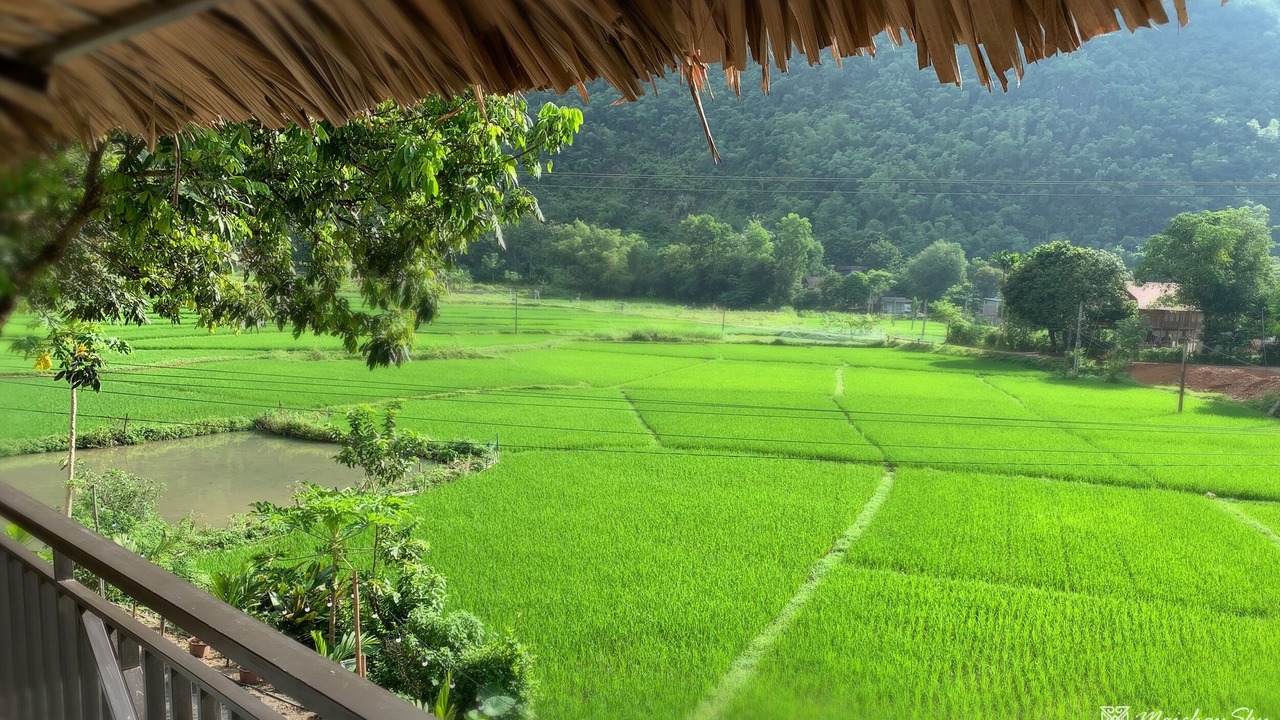 Photo of Bedroom in Mai Chau