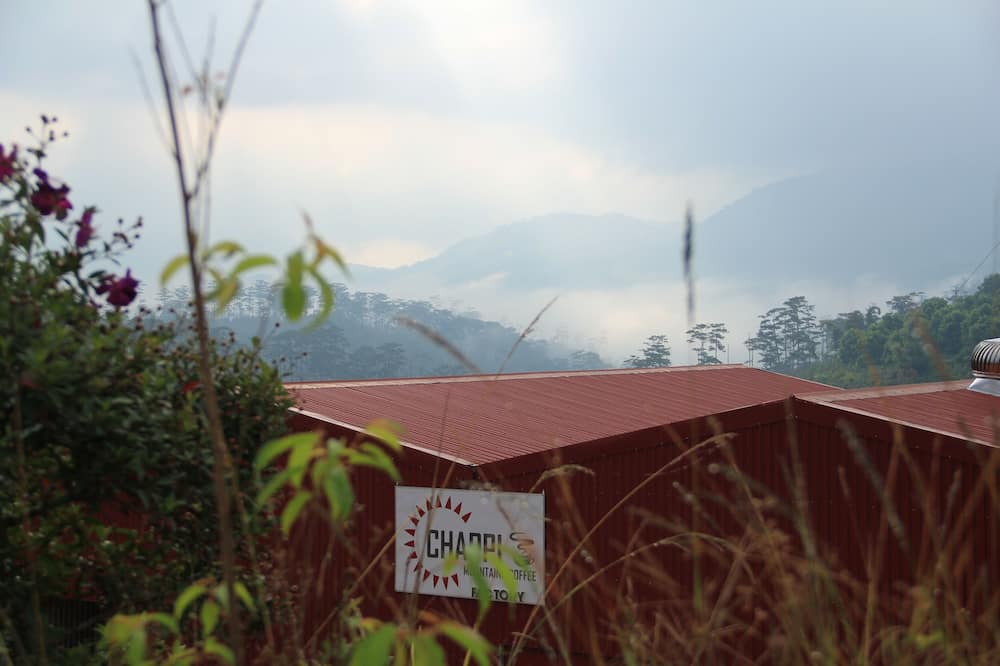 Photo of Outdoor in Lac Duong