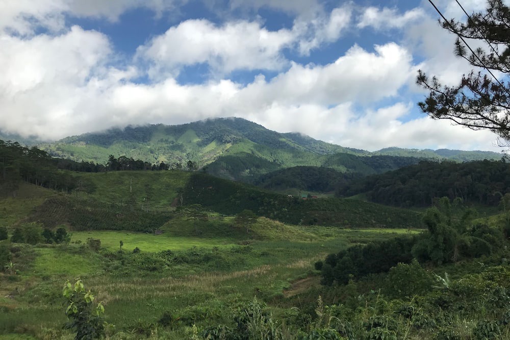 Photo of Outdoor in Lac Duong