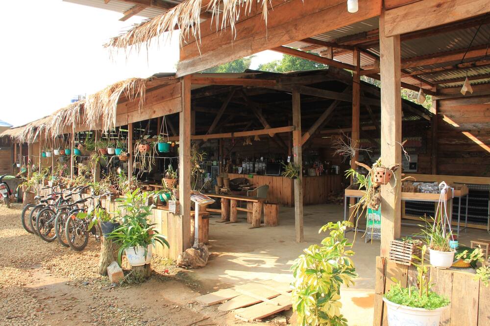 Photo of Others in Lac Duong