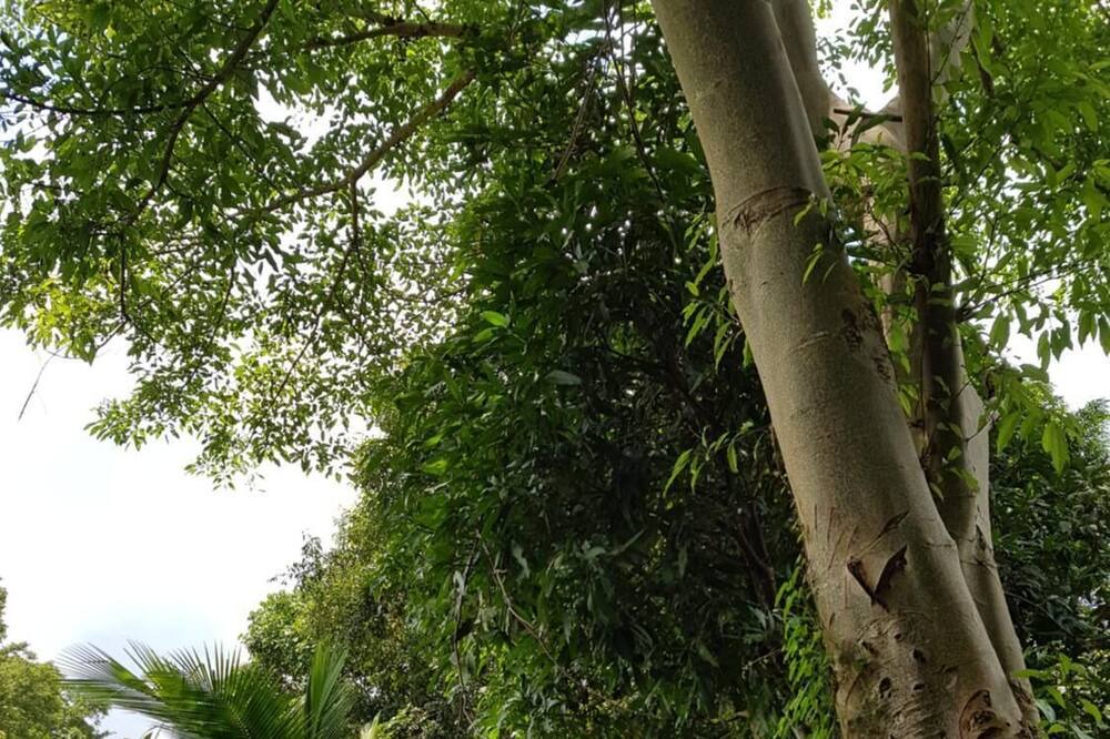 Photo of Outdoor in Pathouphone