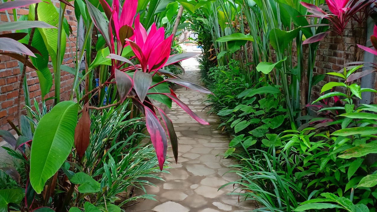 Photo of Outdoor in Borobudur