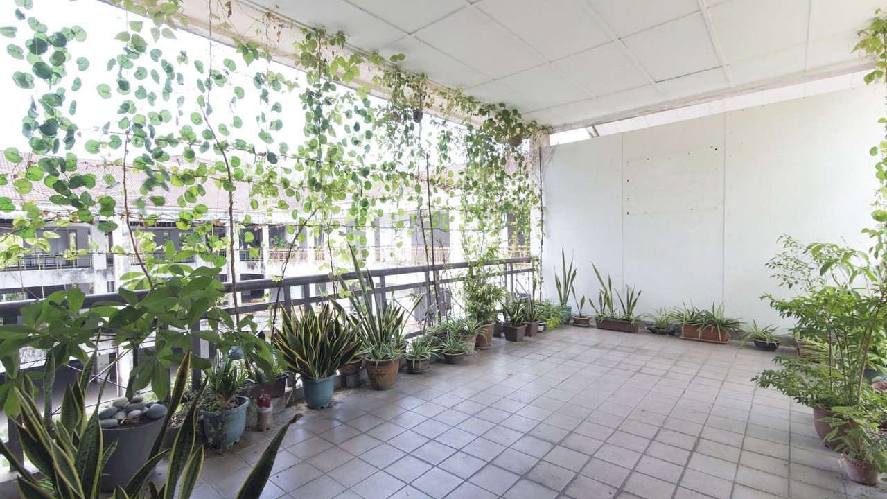 Photo of Outdoor in Kuah