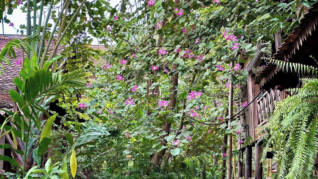 Photo of Outdoor in Sangkat Sla Kram