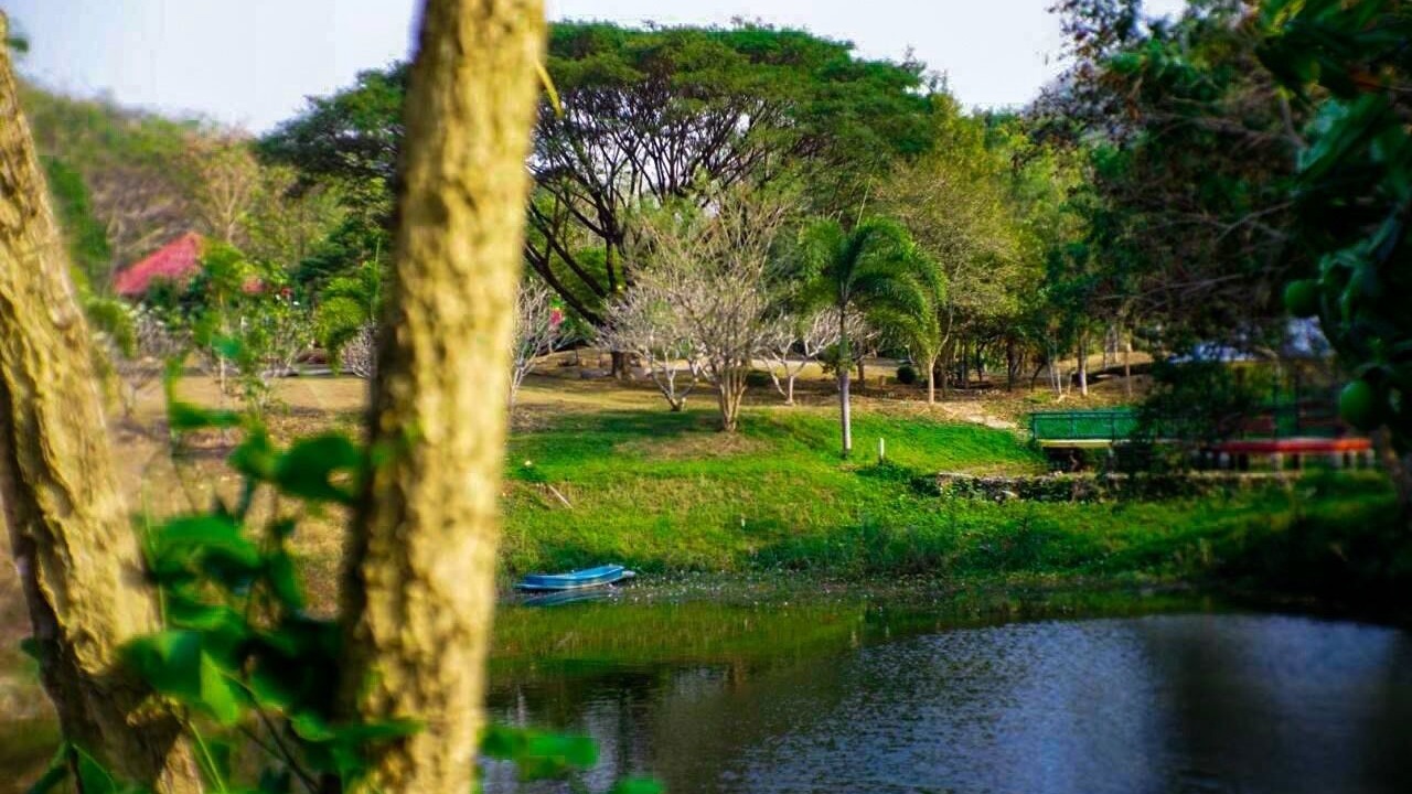 Photo of Outdoor in Suan Phueng