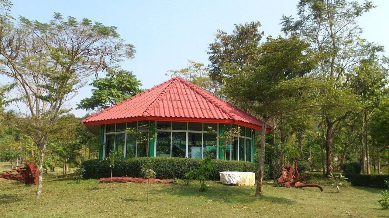 Photo of Outdoor in Suan Phueng