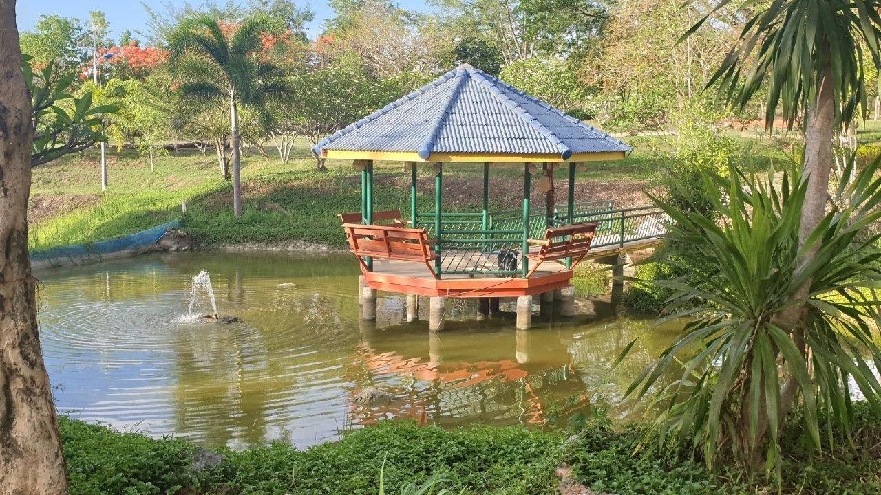 Photo of Others in Suan Phueng