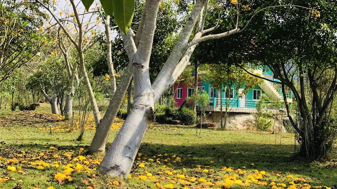 Photo of Others in Suan Phueng