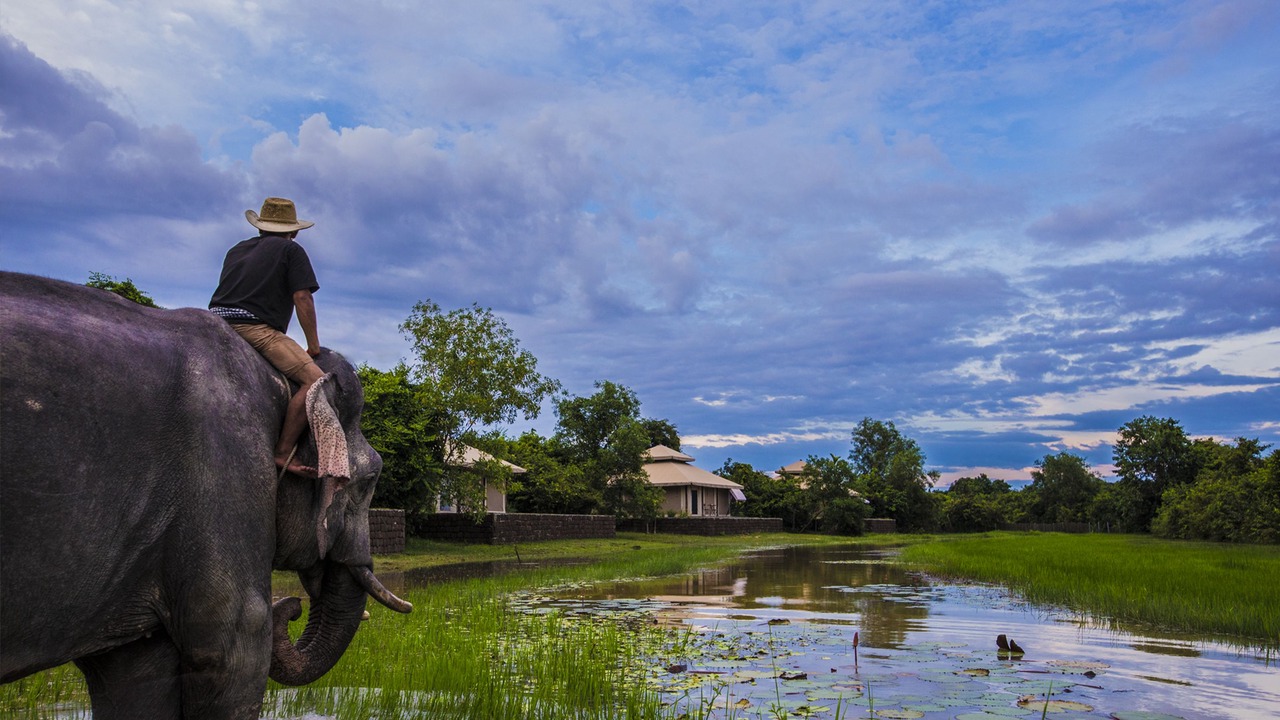 Photo of Others in Angkor Thum