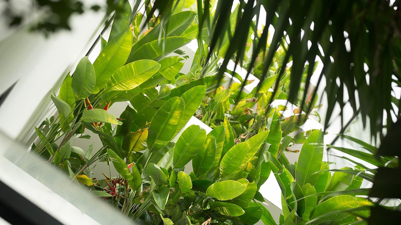 Photo of Patio Balcony in Taphul Village Area