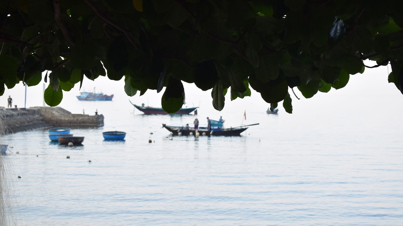 Photo of Others in Cham Island
