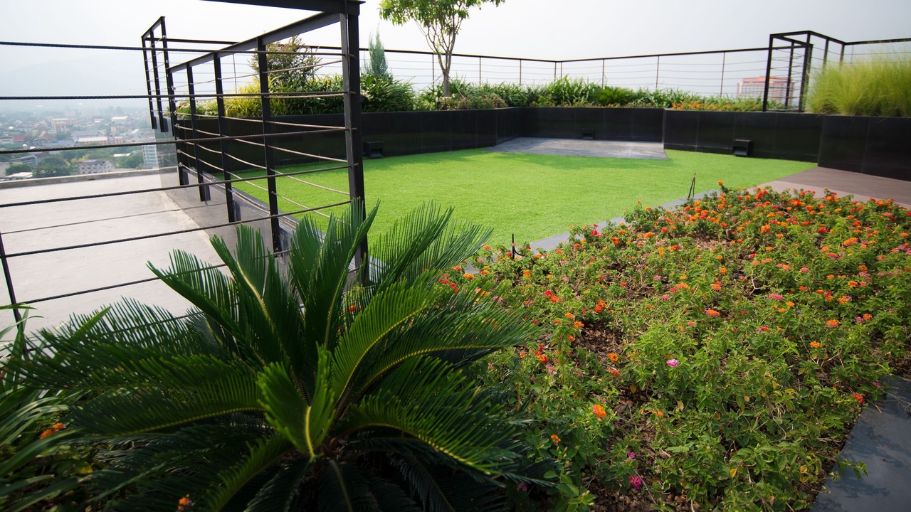 Photo of Outdoor in Chang Khlan