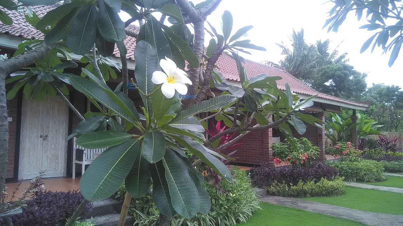 Photo of Outdoor in Pemuteran