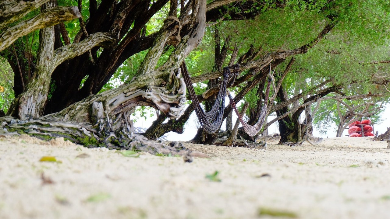 Photo of Others in Rayong