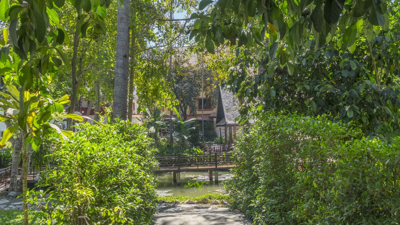 Photo of Outdoor in Luang Prabang
