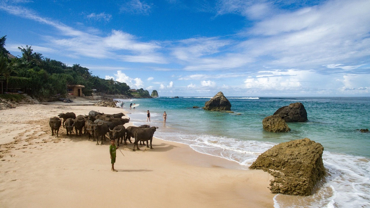 Photo of Others in Wanokaka