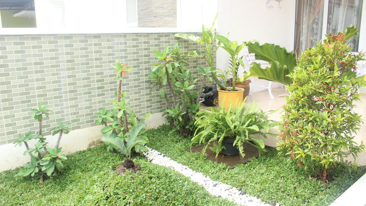 Photo of Outdoor in Malang