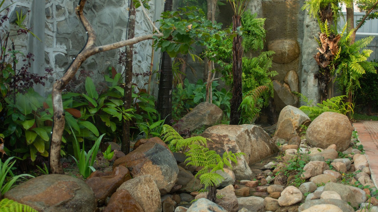 Photo of Others in Siem Reap
