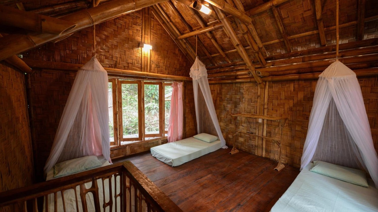Photo of Others in Bukit Lawang