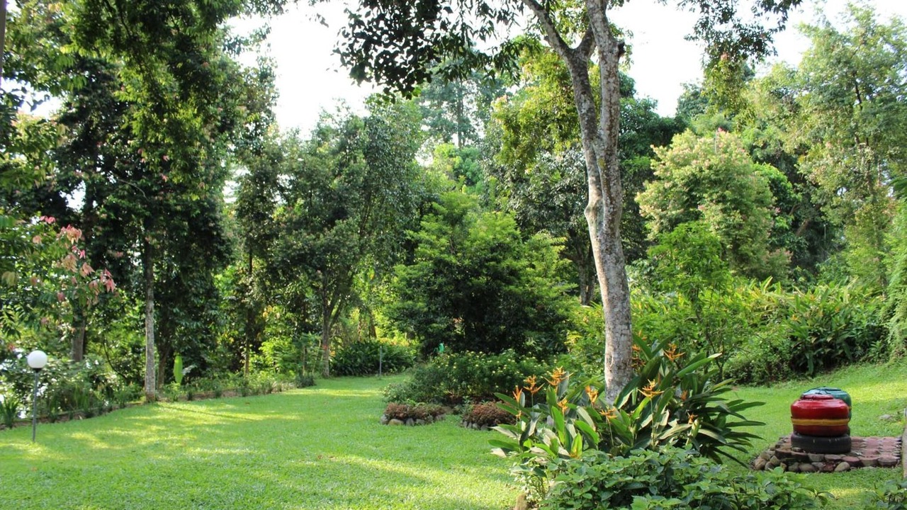 Photo of Outdoor in Bukit Lawang